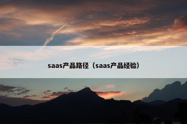 saas产品路径（saas产品经验）