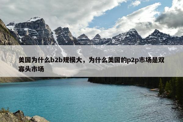 美国为什么b2b规模大，为什么美国的p2p市场是双寡头市场