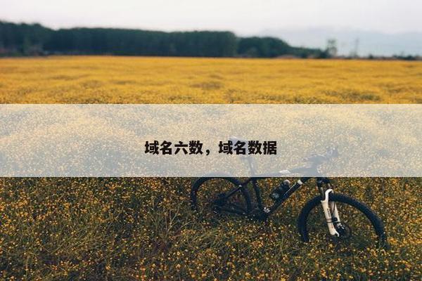 域名六数，域名数据