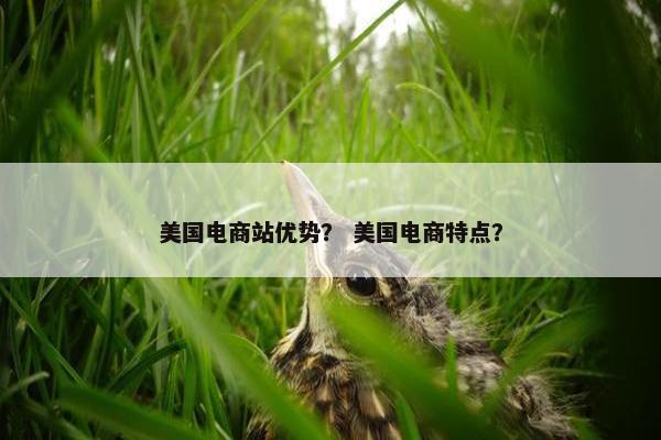 美国电商站优势？ 美国电商特点？
