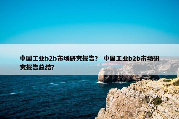 中国工业b2b市场研究报告？ 中国工业b2b市场研究报告总结？