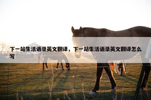 下一站生活语录英文翻译，下一站生活语录英文翻译怎么写