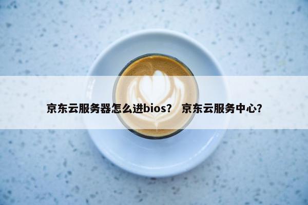京东云服务器怎么进bios？ 京东云服务中心？