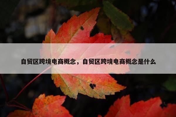 自贸区跨境电商概念，自贸区跨境电商概念是什么