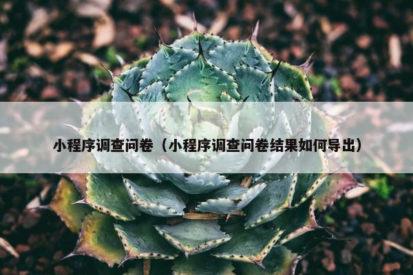 小程序调查问卷（小程序调查问卷结果如何导出）