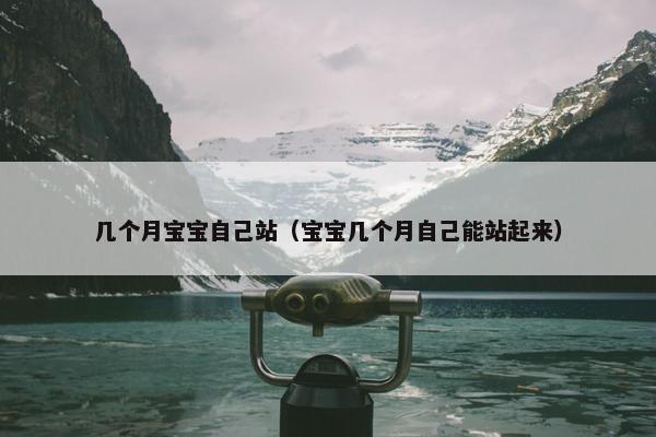 几个月宝宝自己站（宝宝几个月自己能站起来）