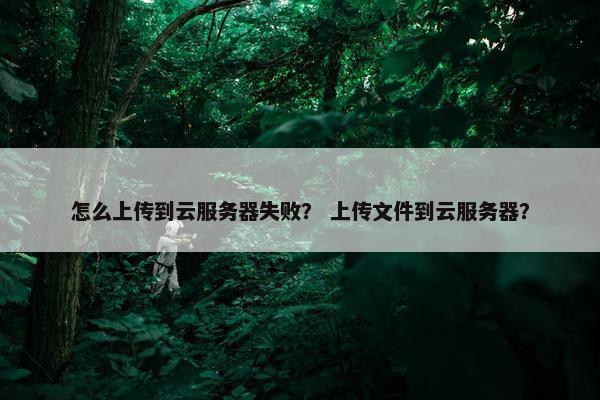怎么上传到云服务器失败？ 上传文件到云服务器？
