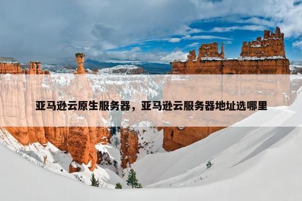 亚马逊云原生服务器，亚马逊云服务器地址选哪里