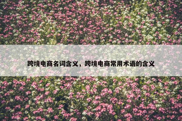 跨境电商名词含义，跨境电商常用术语的含义