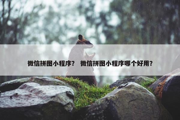 微信拼图小程序？ 微信拼图小程序哪个好用？