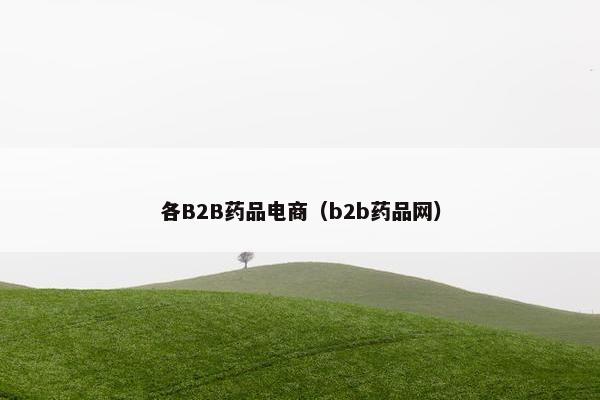 各B2B药品电商（b2b药品网）