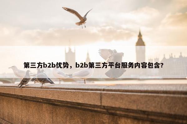 第三方b2b优势，b2b第三方平台服务内容包含?