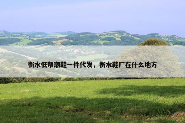 衡水低帮潮鞋一件代发，衡水鞋厂在什么地方