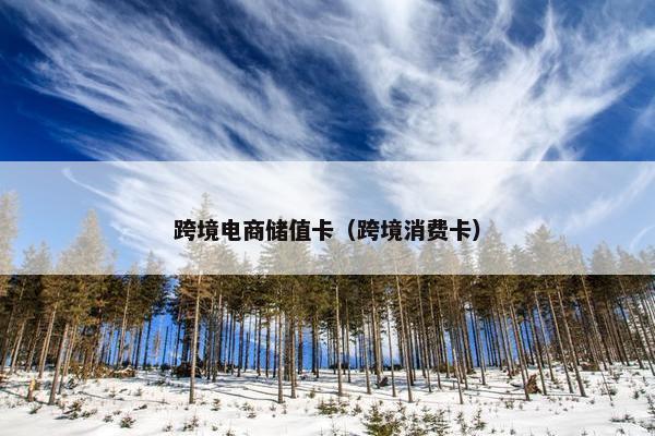 跨境电商储值卡（跨境消费卡）