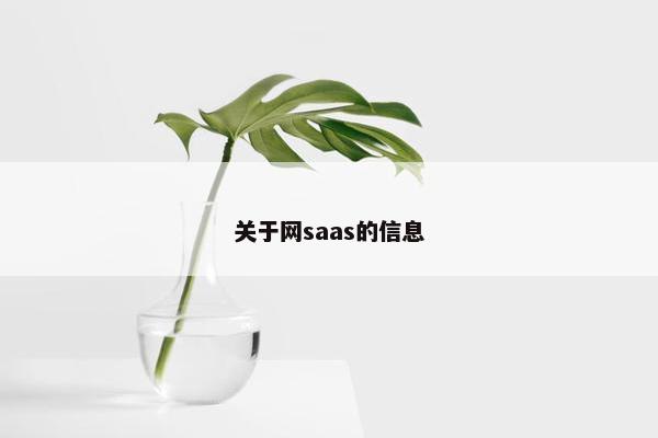 关于网saas的信息