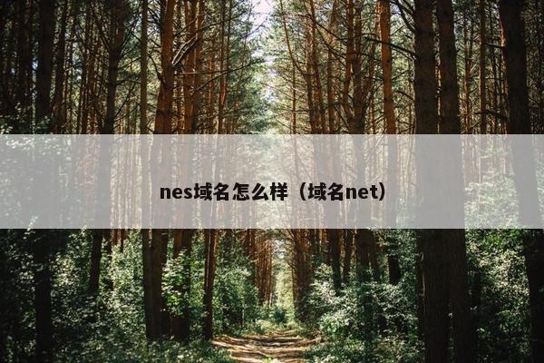 nes域名怎么样（域名net）