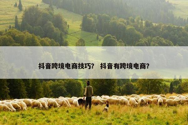 抖音跨境电商技巧？ 抖音有跨境电商？