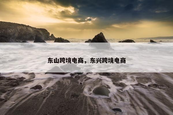 东山跨境电商，东兴跨境电商