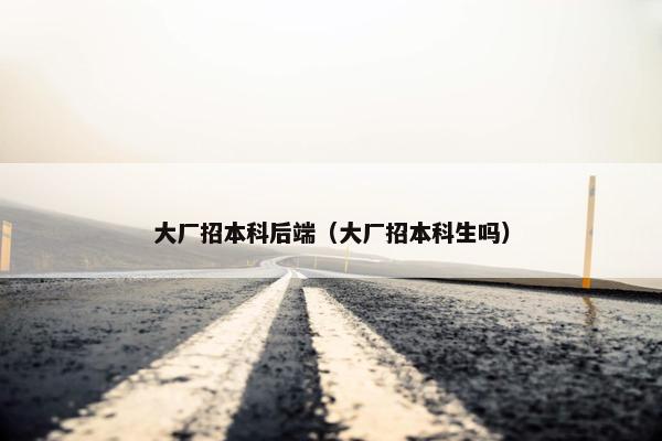 大厂招本科后端（大厂招本科生吗）