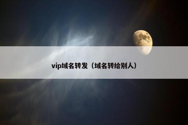 vip域名转发（域名转给别人）