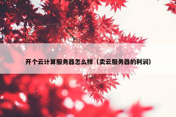 开个云计算服务器怎么样（卖云服务器的利润）