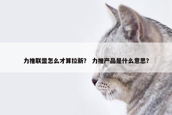 力推联盟怎么才算拉新？ 力推产品是什么意思？