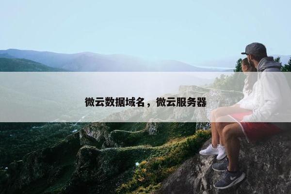 微云数据域名，微云服务器