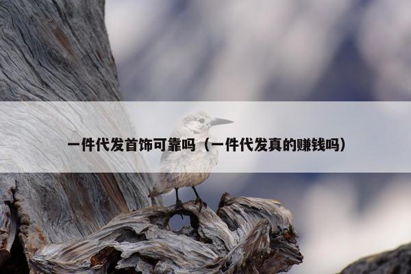 一件代发首饰可靠吗（一件代发真的赚钱吗）