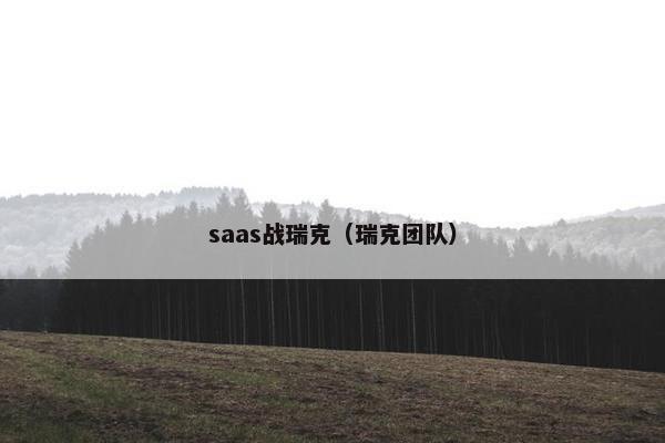 saas战瑞克（瑞克团队）