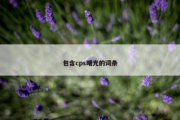 包含cps曙光的词条