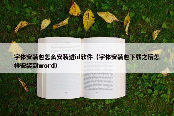 字体安装包怎么安装进id软件（字体安装包下载之后怎样安装到word）