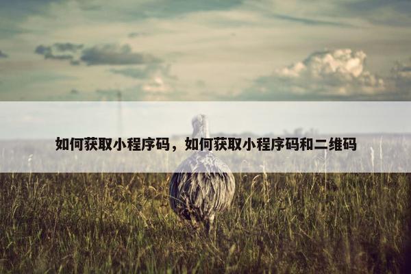 如何获取小程序码，如何获取小程序码和二维码