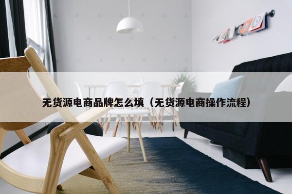 无货源电商品牌怎么填（无货源电商操作流程）