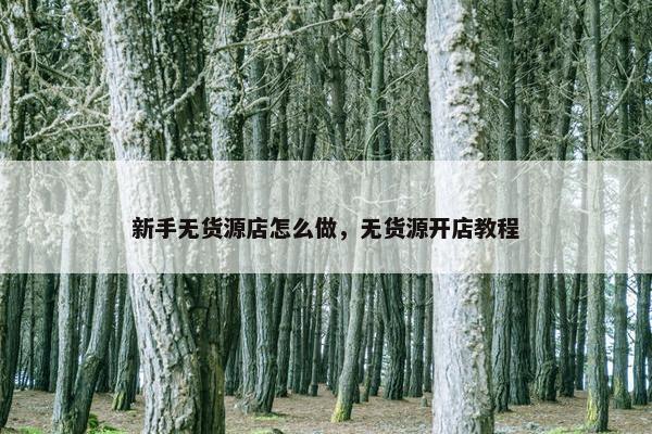新手无货源店怎么做，无货源开店教程