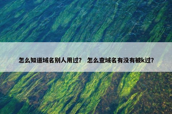 怎么知道域名别人用过？ 怎么查域名有没有被k过？