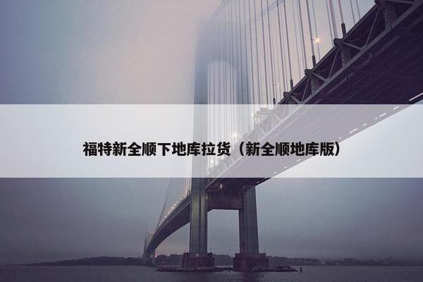 福特新全顺下地库拉货（新全顺地库版）