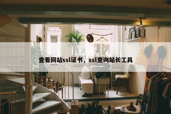 查看网站ssl证书，ssl查询站长工具