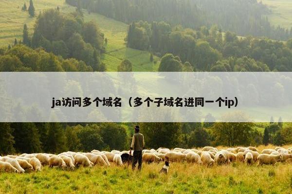 ja访问多个域名（多个子域名进同一个ip）
