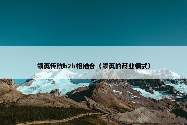 领英传统b2b相结合（领英的商业模式）