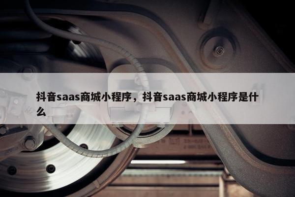 抖音saas商城小程序，抖音saas商城小程序是什么