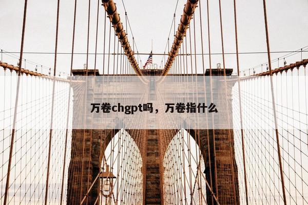 万卷chgpt吗，万卷指什么