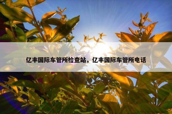 亿丰国际车管所检查站，亿丰国际车管所电话