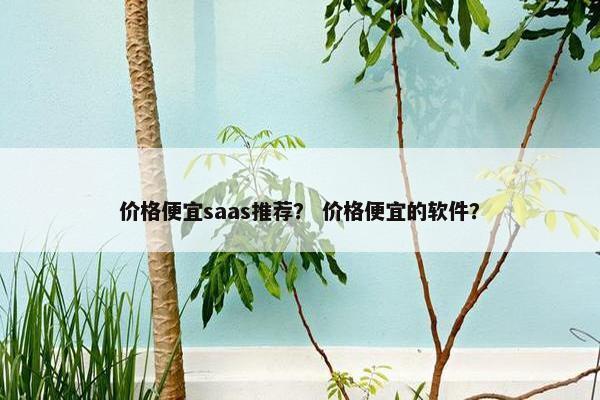 价格便宜saas推荐？ 价格便宜的软件？