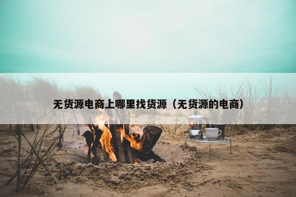 无货源电商上哪里找货源（无货源的电商）