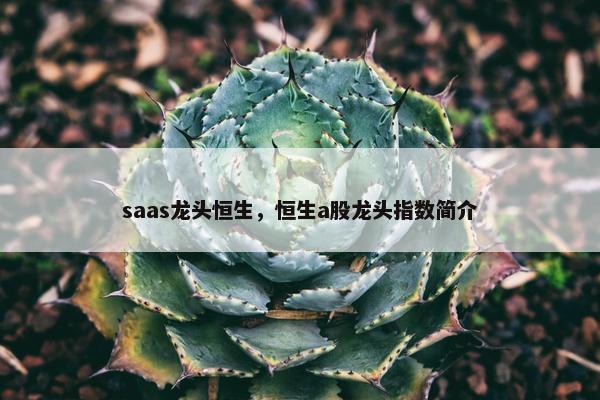 saas龙头恒生，恒生a股龙头指数简介