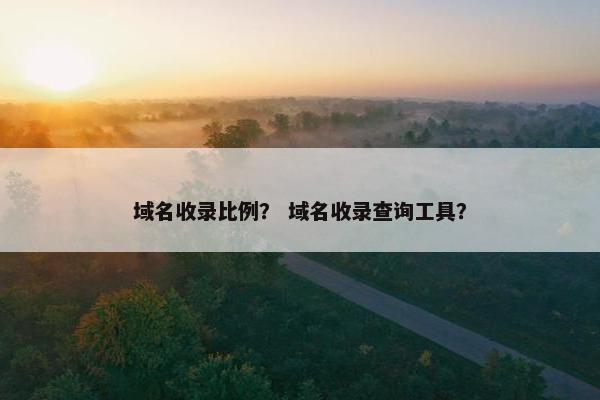 域名收录比例？ 域名收录查询工具？