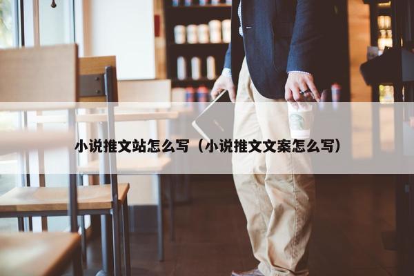 小说推文站怎么写（小说推文文案怎么写）