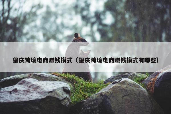 肇庆跨境电商赚钱模式（肇庆跨境电商赚钱模式有哪些）
