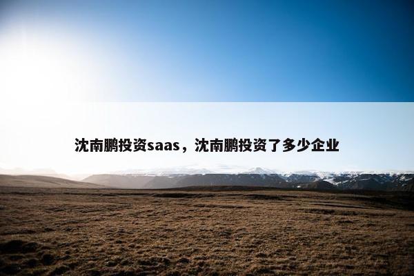 沈南鹏投资saas，沈南鹏投资了多少企业