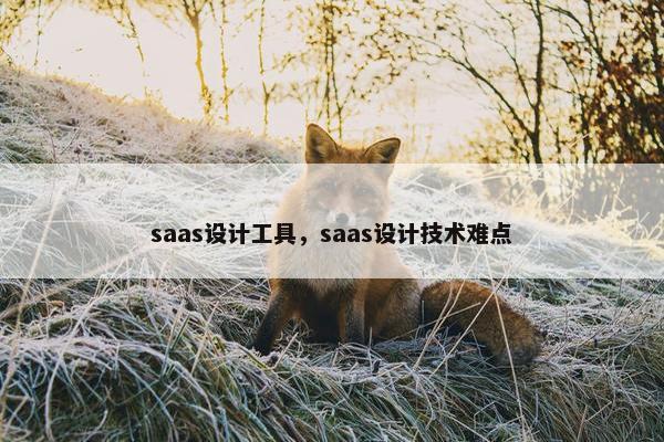 saas设计工具，saas设计技术难点